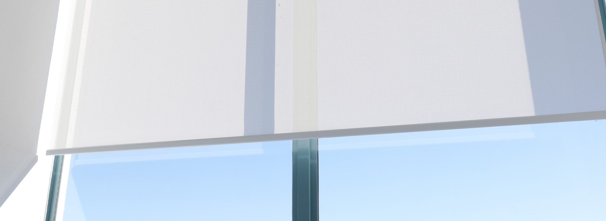 New Blinds or Curtains